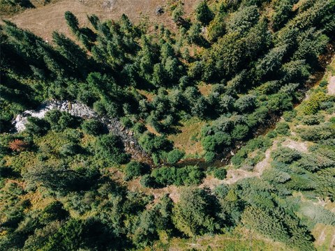 Recreation Land with Elk Creek Frontage