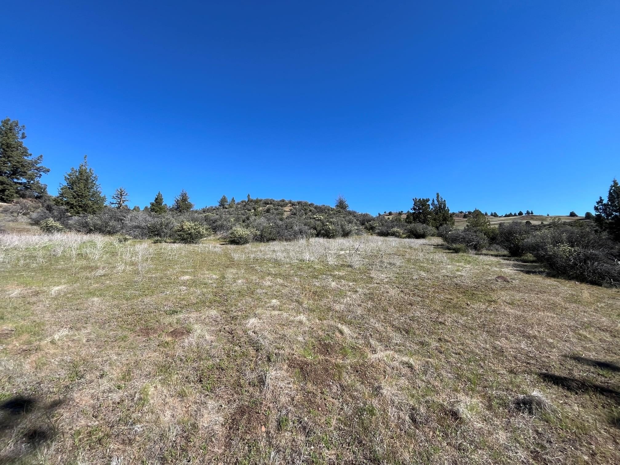 Scenic 2.6-Acre Parcel in Hornbrook