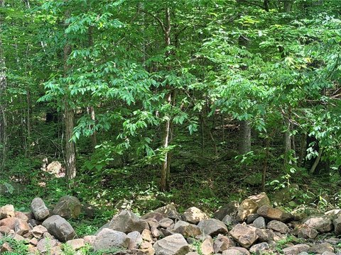 LAND - Harrison, AR