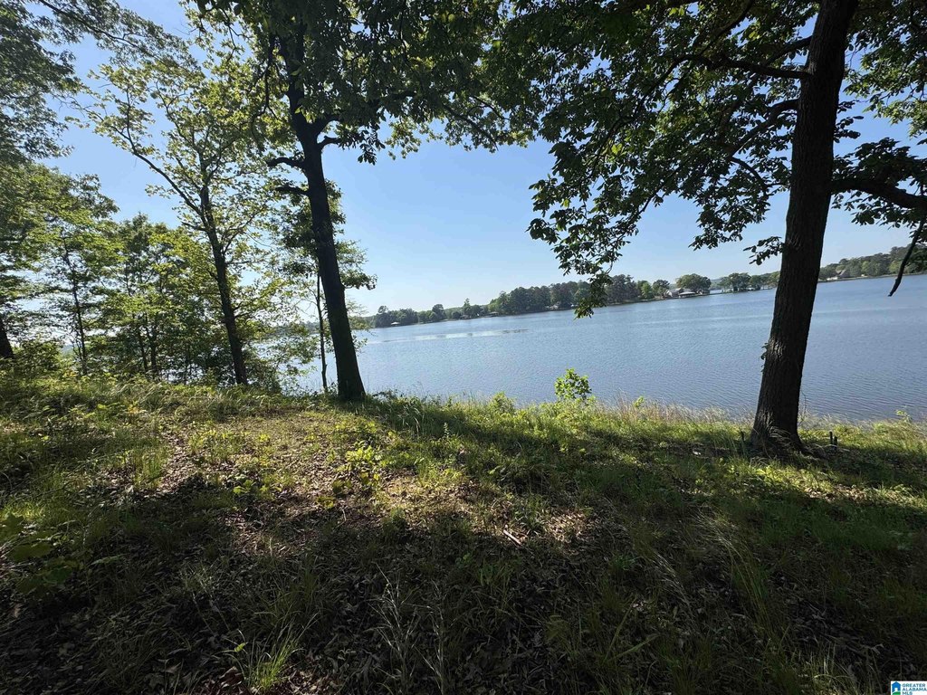 Picture 28