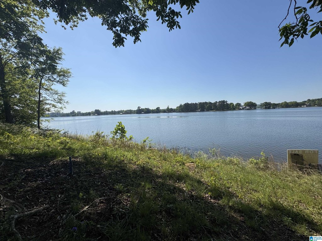 Picture 25