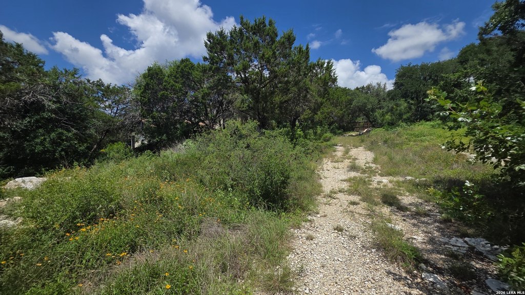 Picture 8