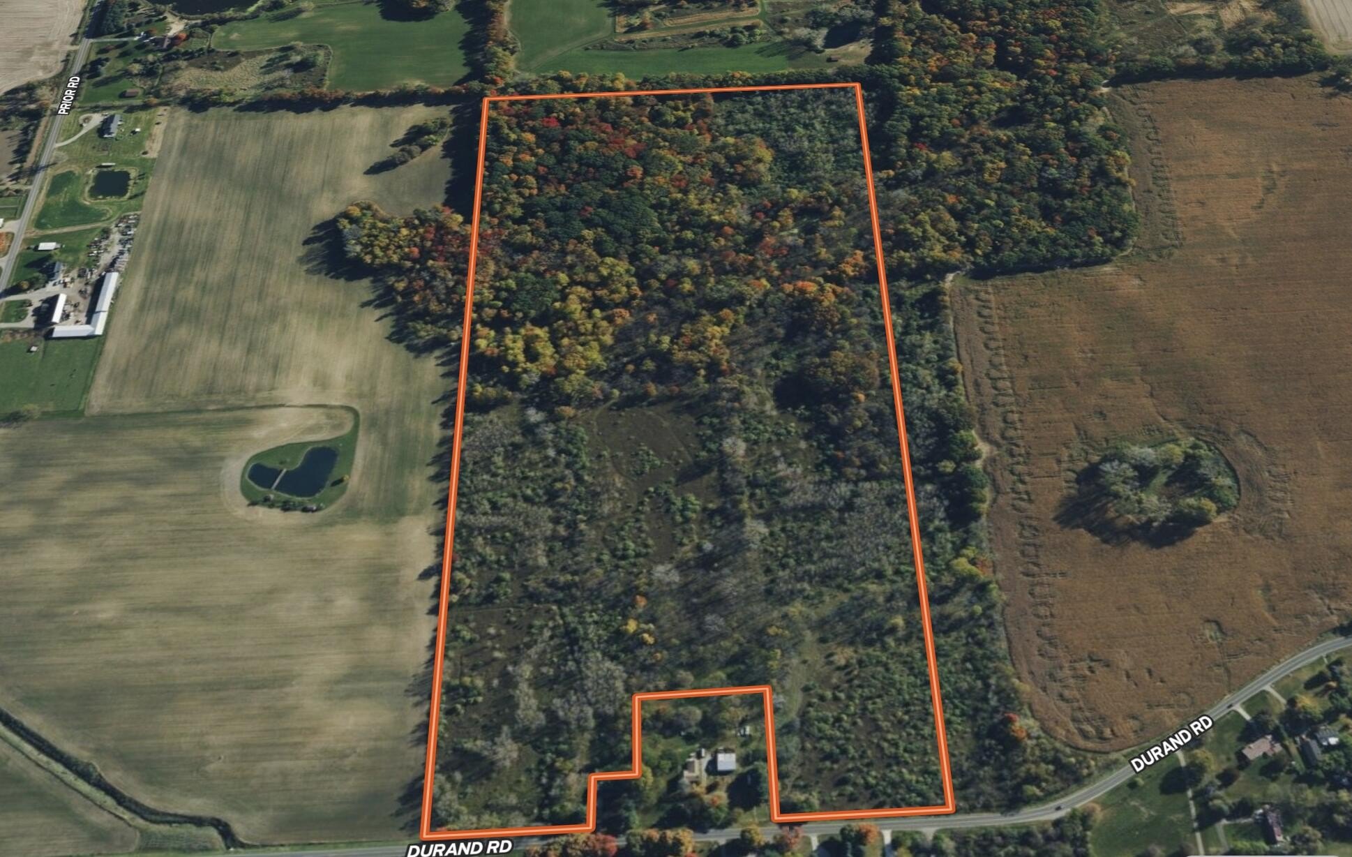 Secluded Hunting Land Near Durand