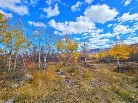 Land Near Powderhorn Resort