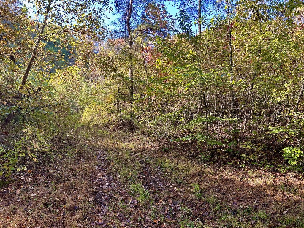Picture 10