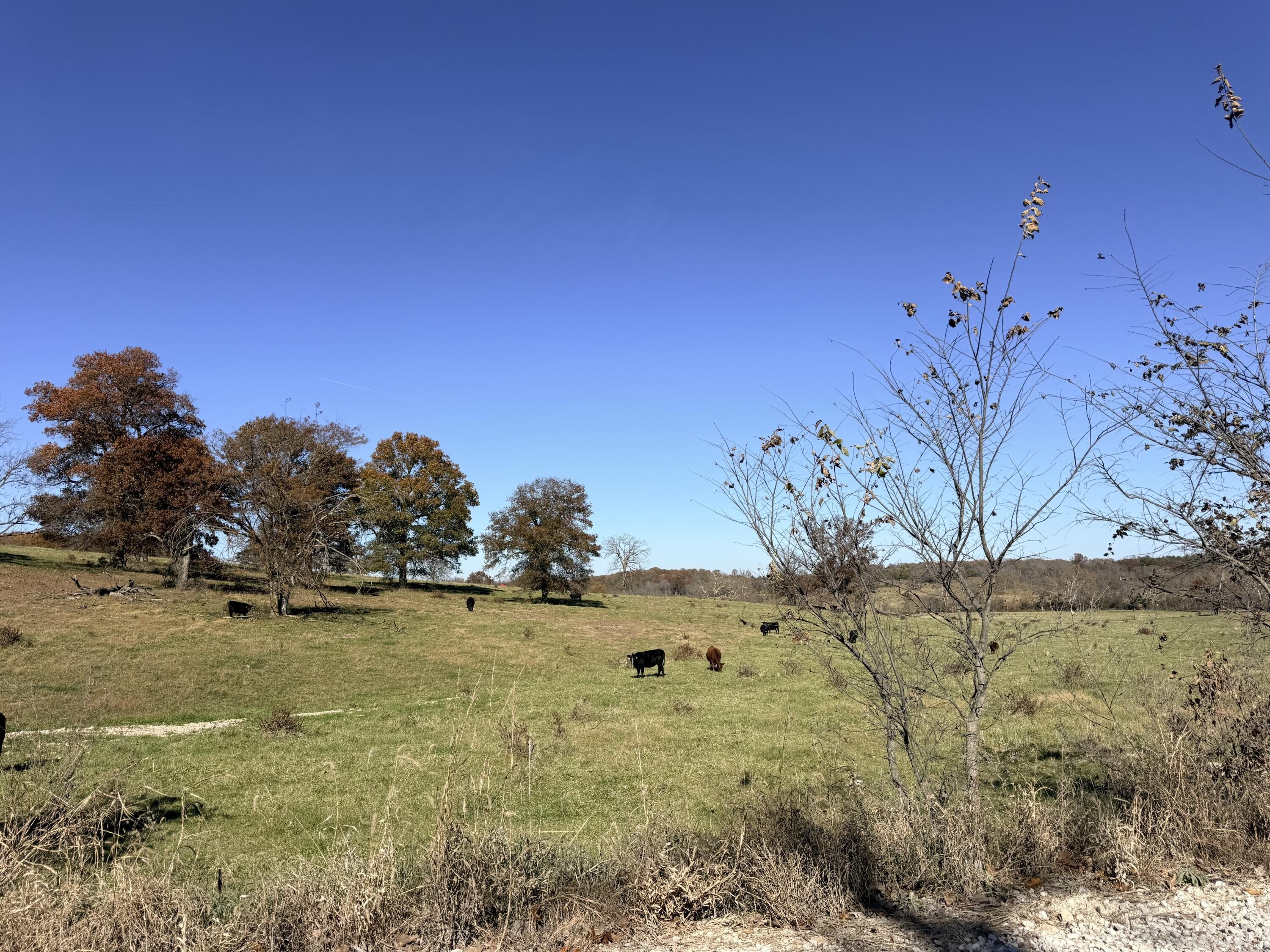 80 Acres of Rolling Land