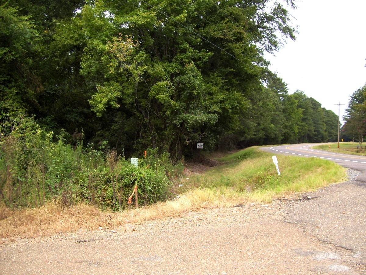 40 Acres of Prime Timber