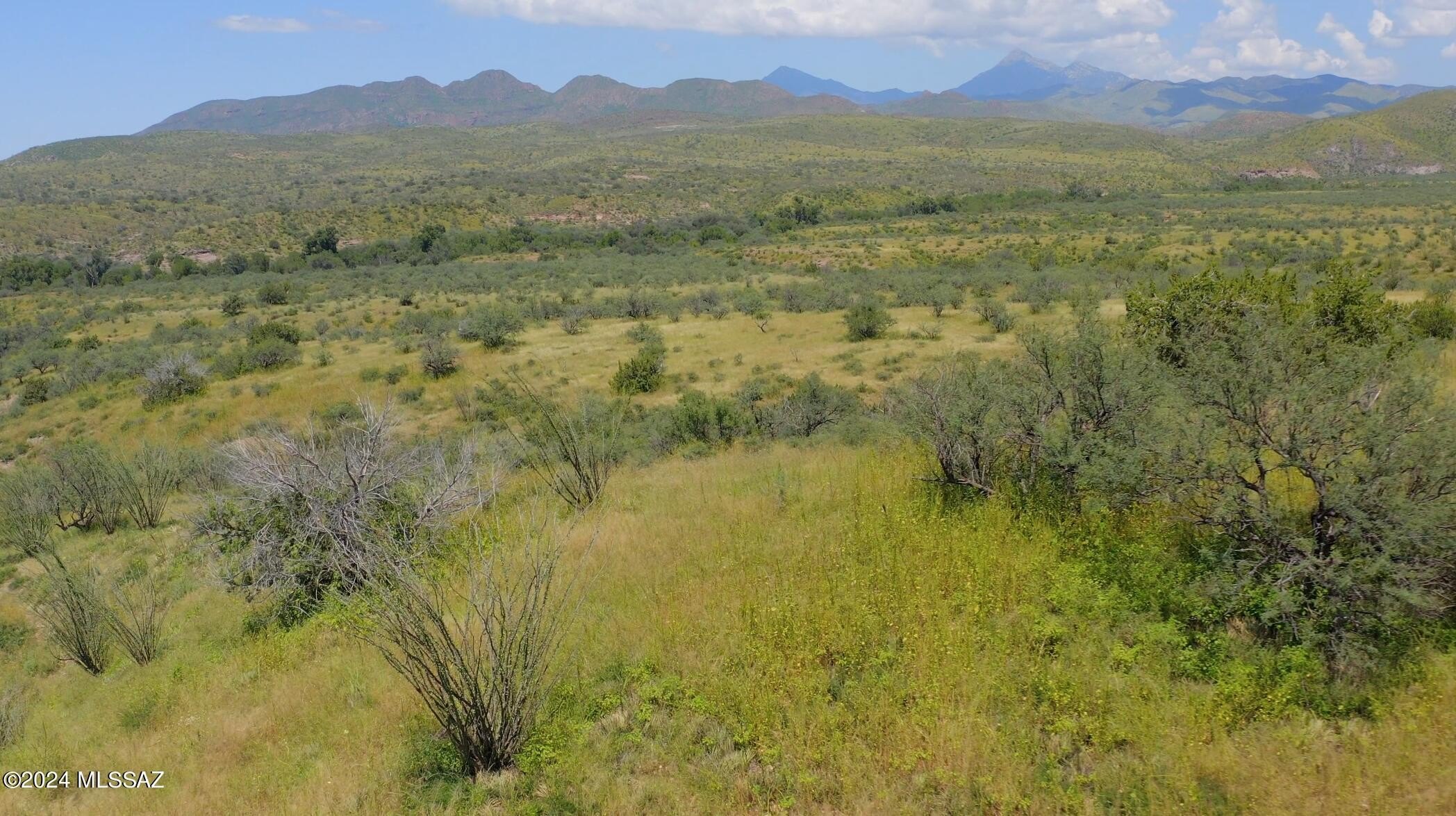 Rio Rico Land with Views