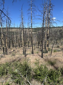 Bonanza, OR Land Parcel