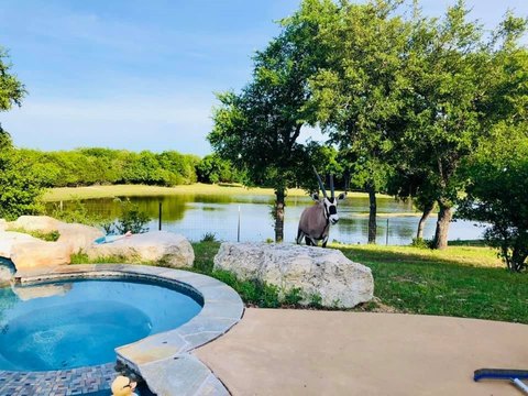 Exotic Game Ranch Property
