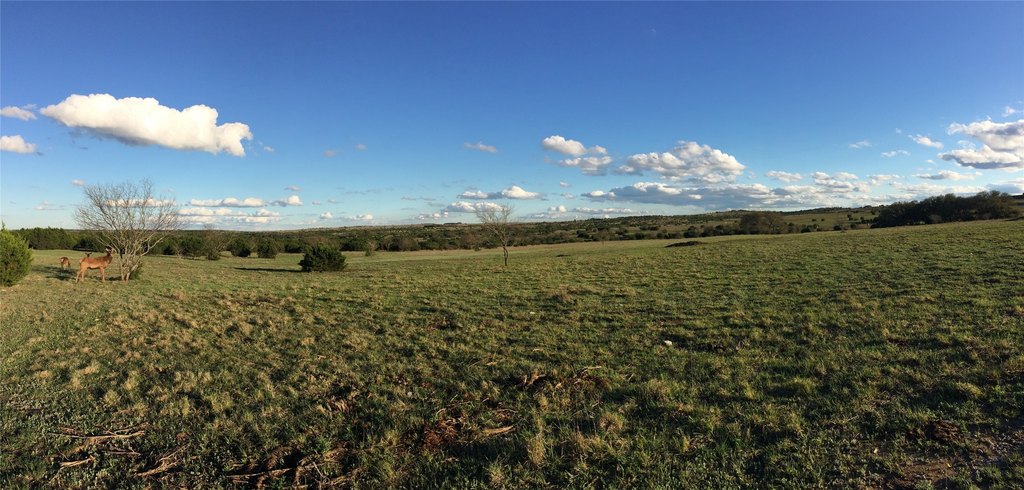 Picture 23
