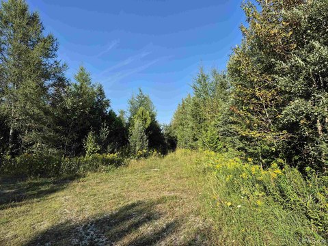 Contiguous Land Tract With Internal Road