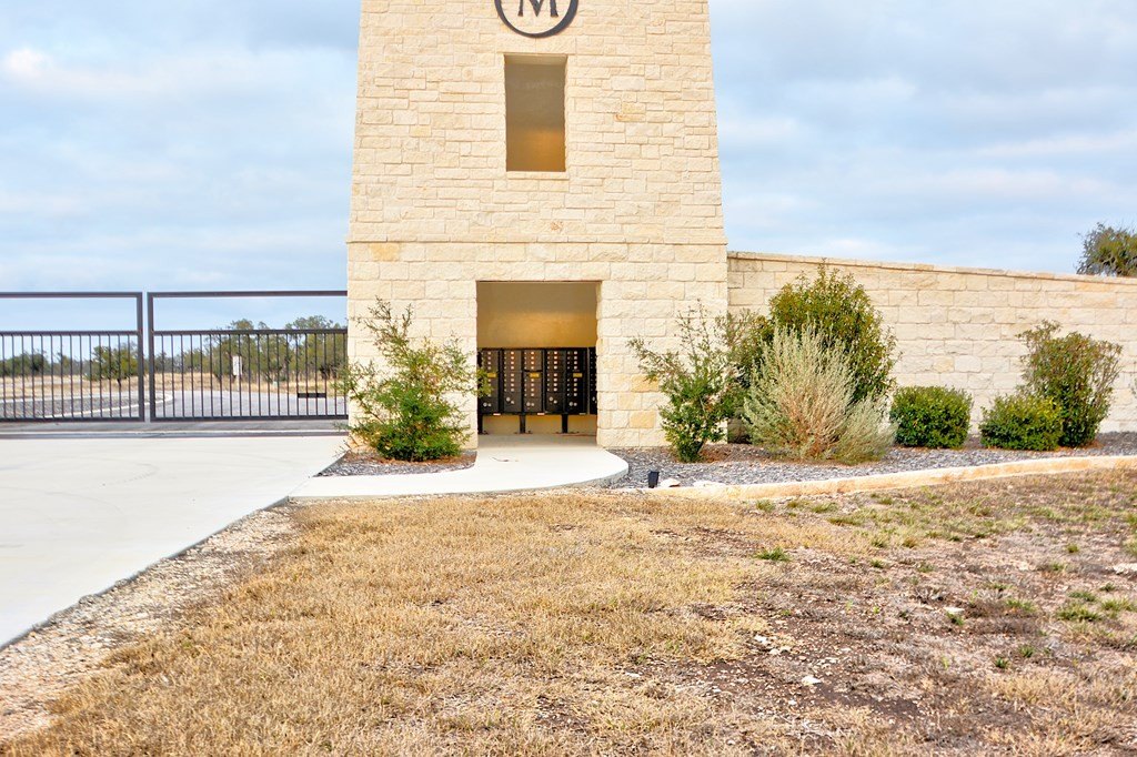 Picture 11