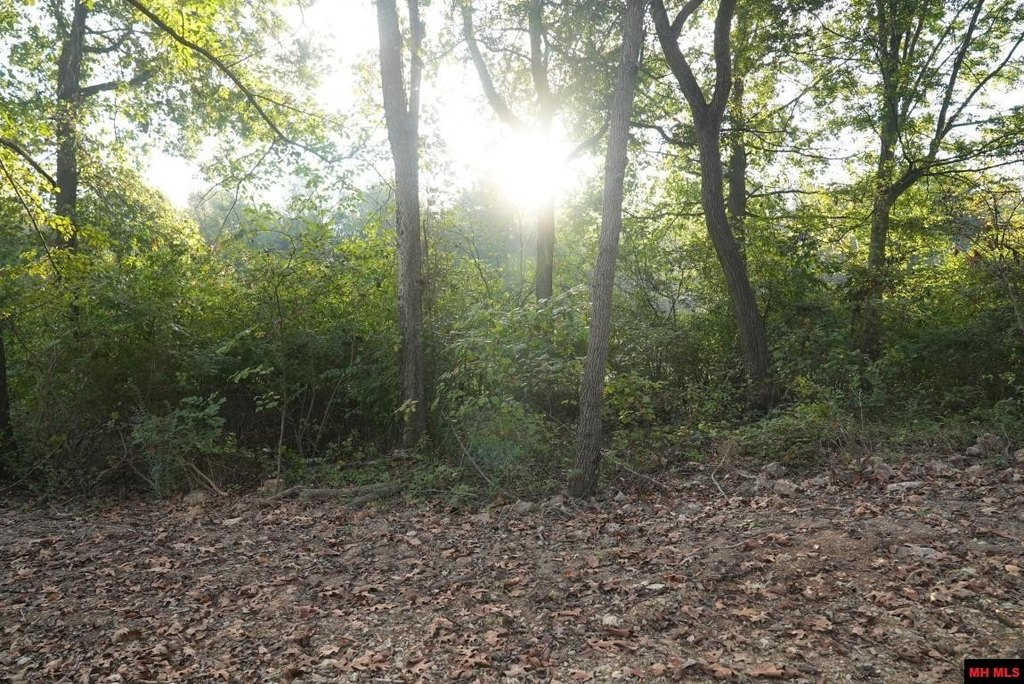 Picture 12
