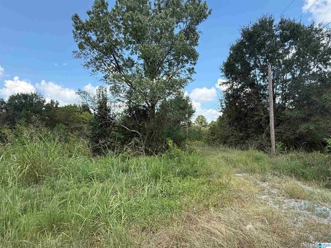 LAND/LOTS, CULLMAN, AL