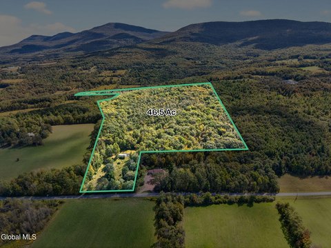 Expansive Land Parcel in Cornwallville
