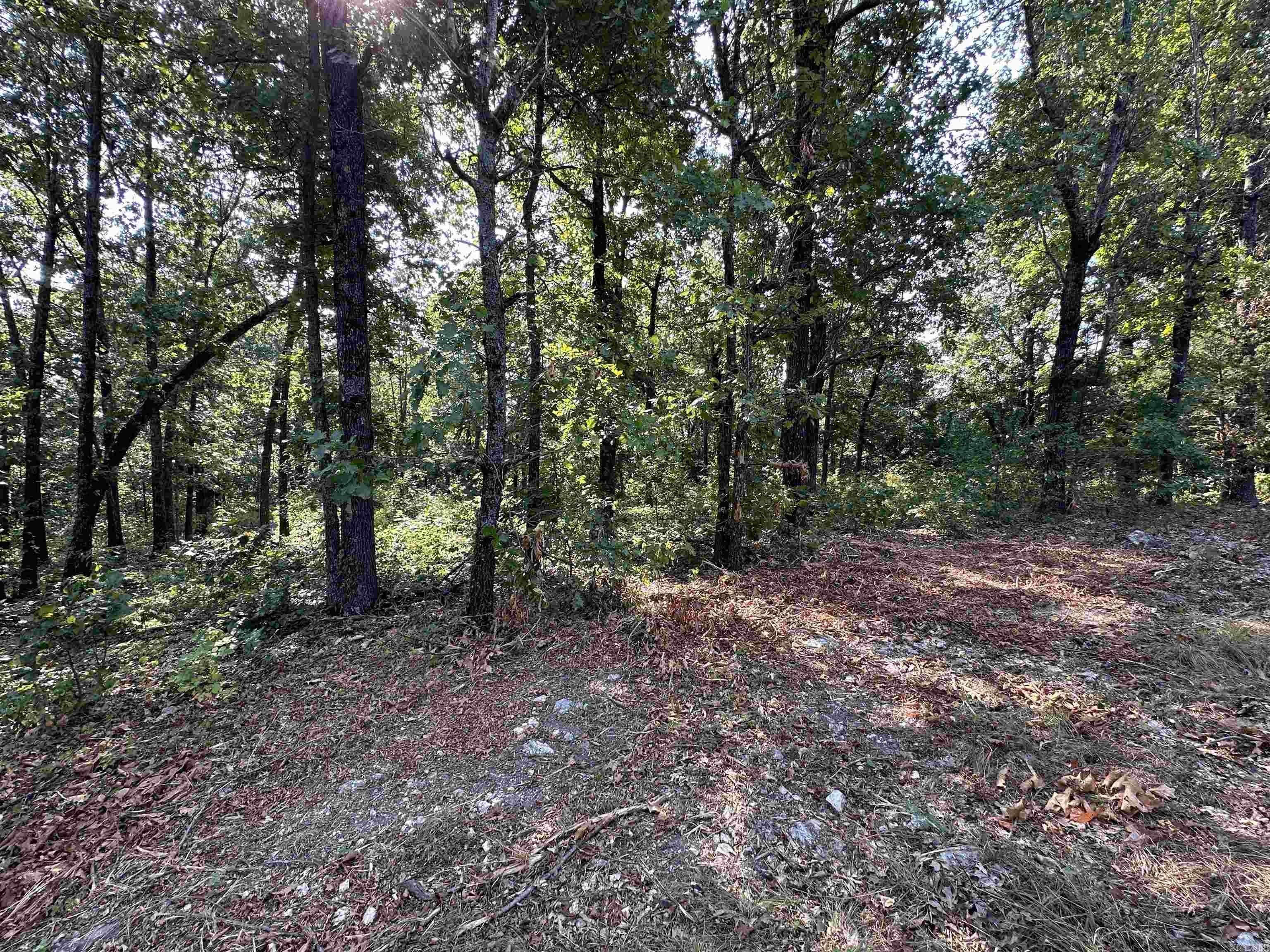 Horseshoe Bend Wooded Land