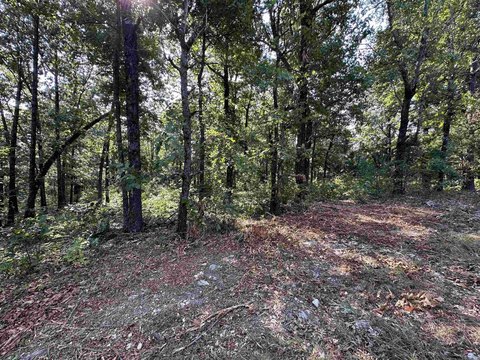 Horseshoe Bend Wooded Land
