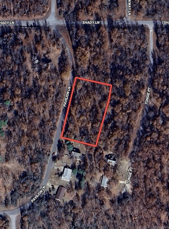 Picture 9