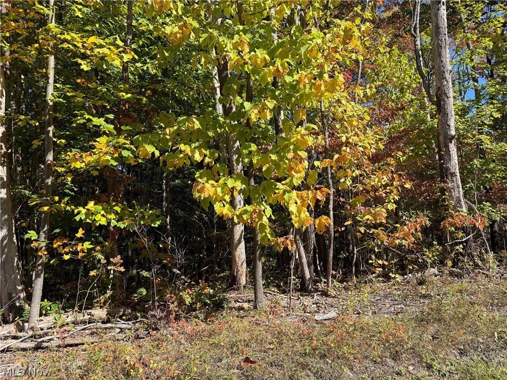 Picture 3