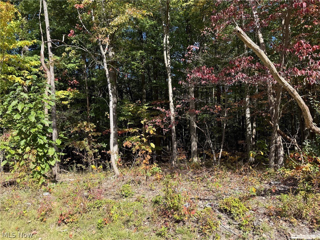 Picture 2
