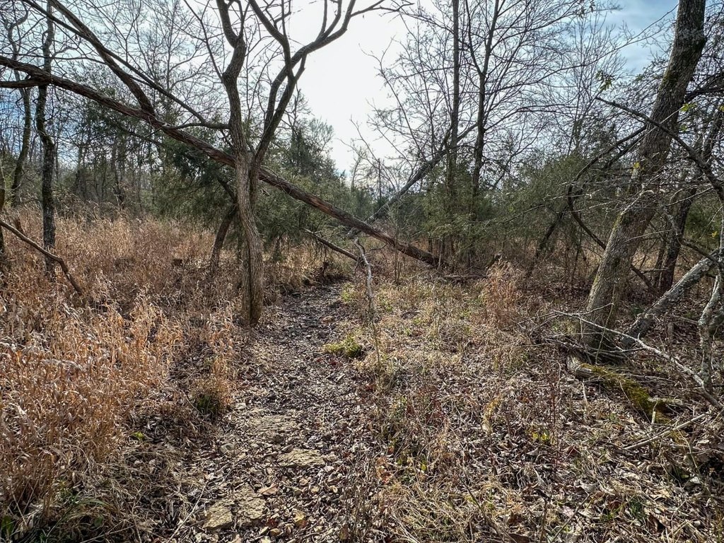 Picture 18