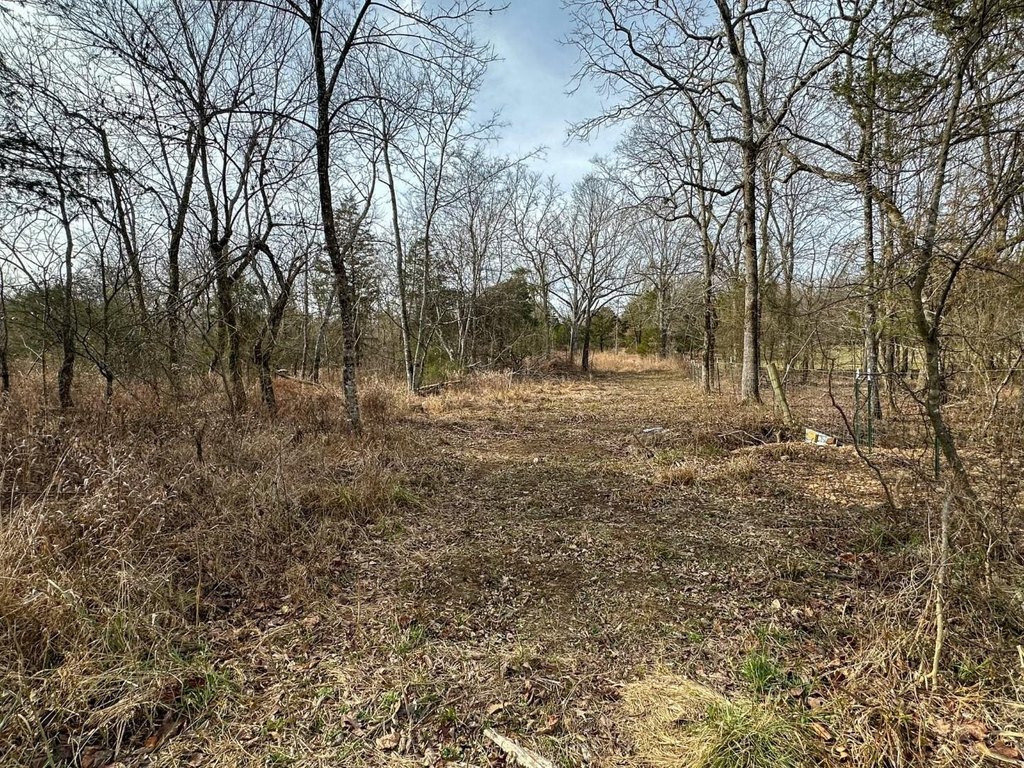 Picture 12