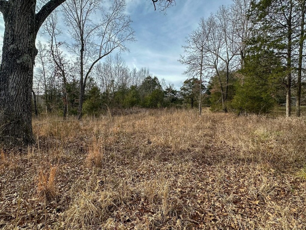 Picture 14