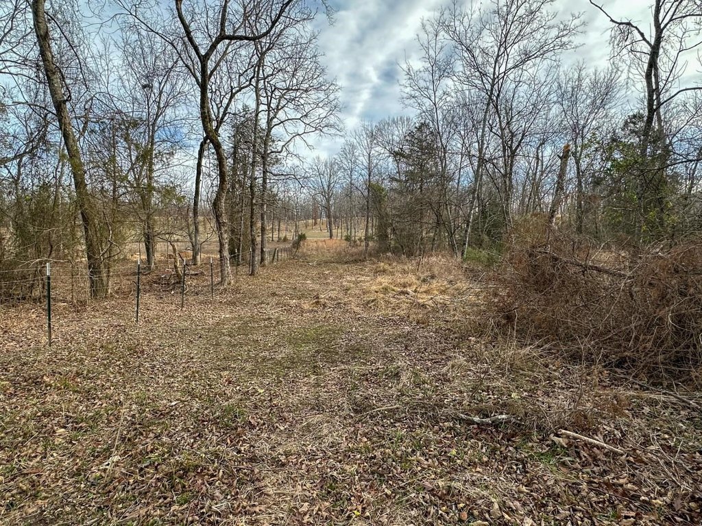 Picture 17