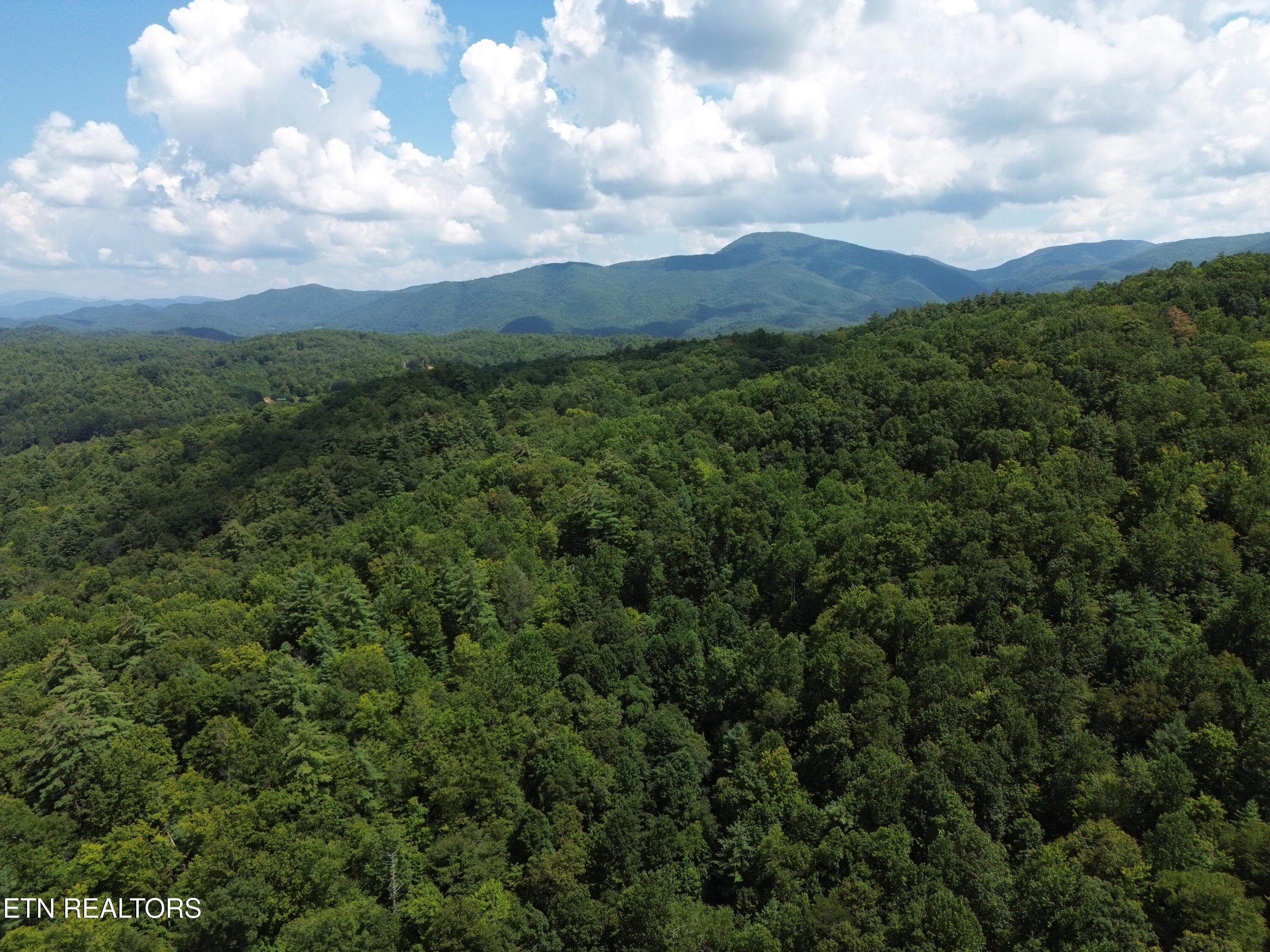 Tennessee Land with Mountain Views