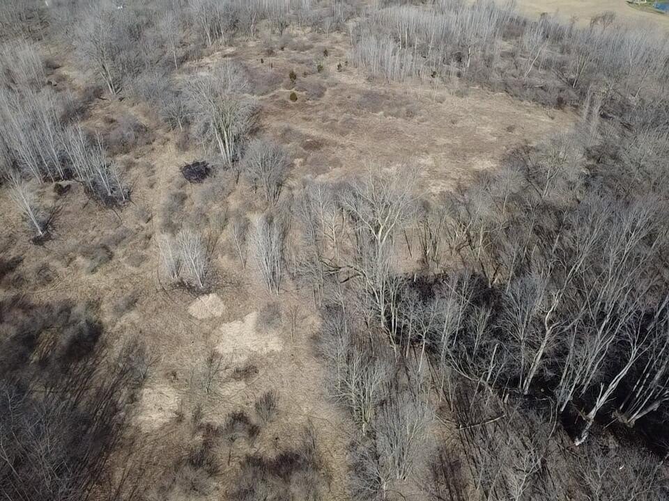 Picture 14