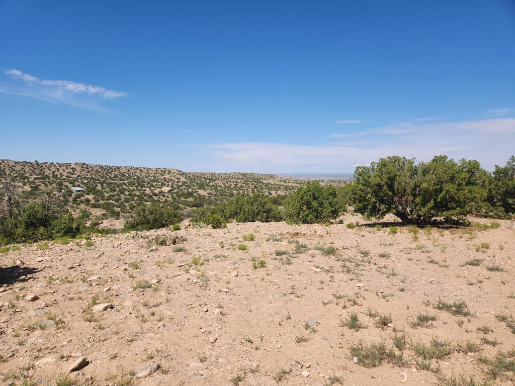 Picture 19