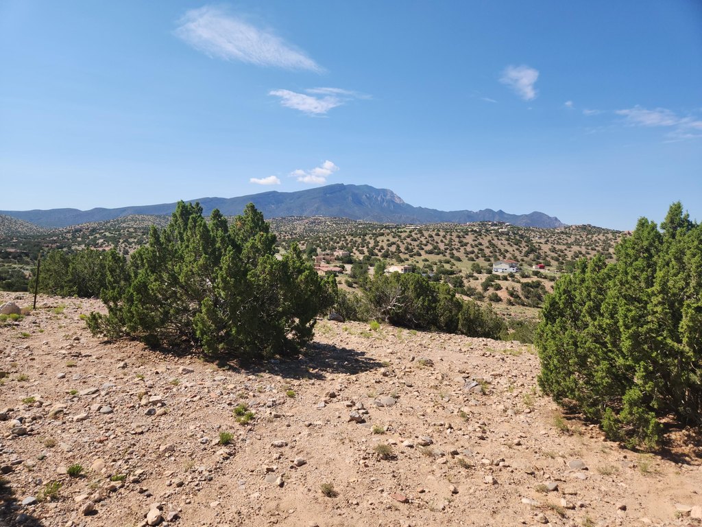 Picture 24