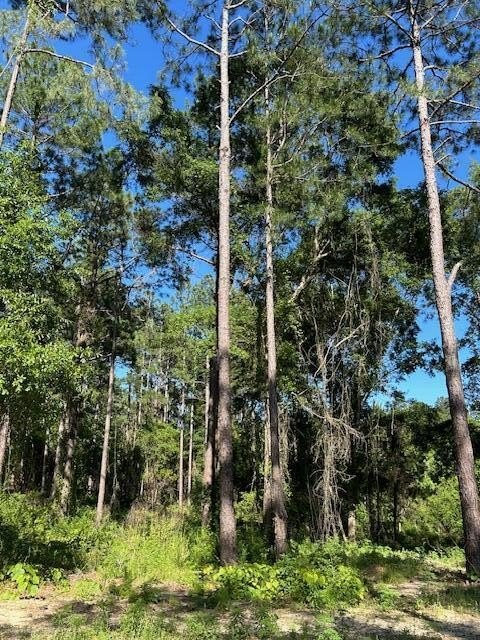 Residential Land in Rural Setting