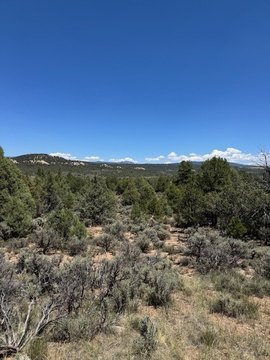 Land in Tierra Amarilla, NM