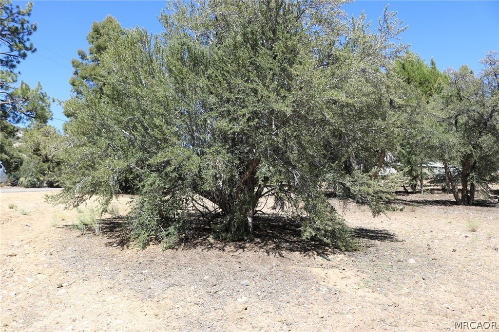 Picture 6