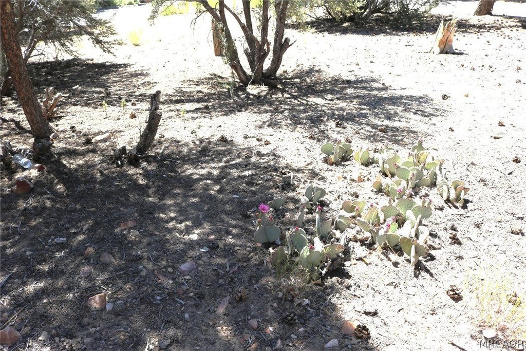 Picture 13
