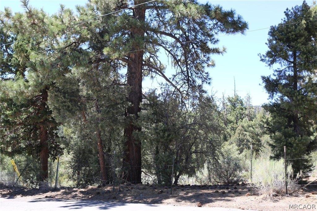 Picture 17