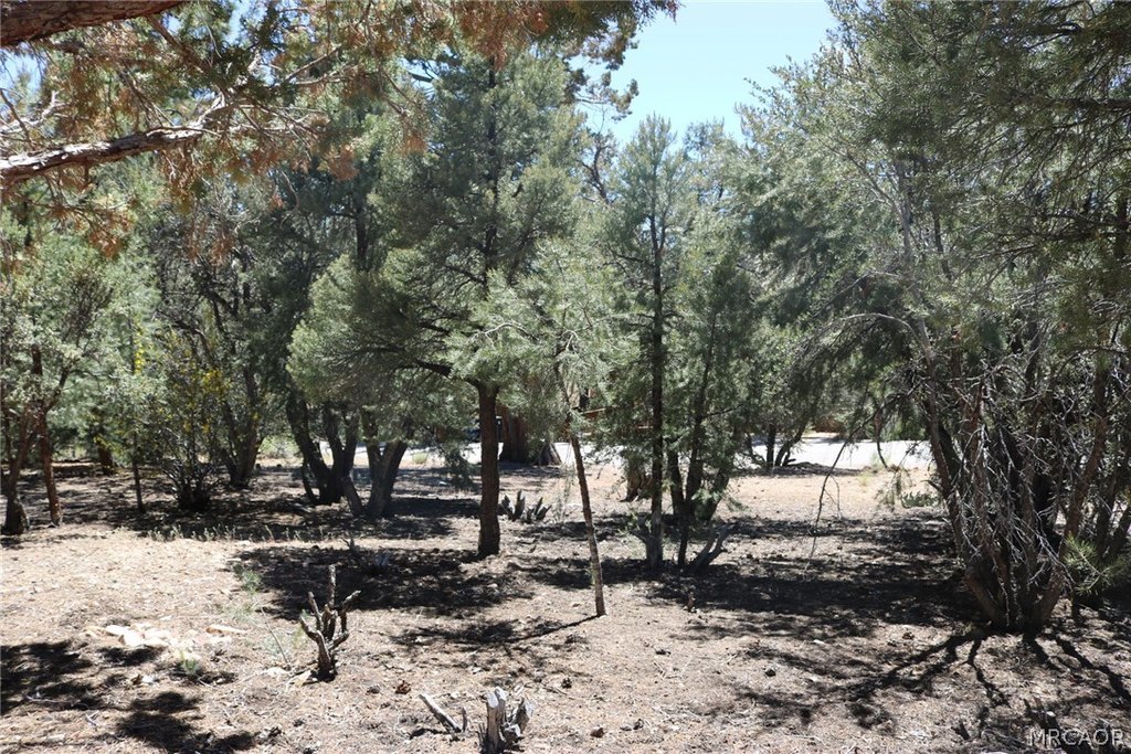 Picture 11