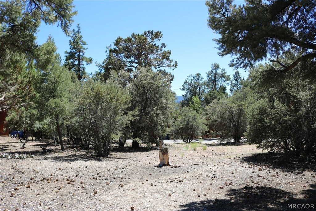 Picture 14