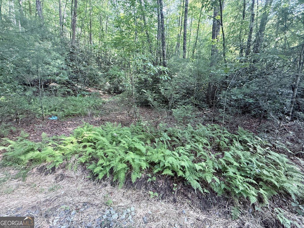 Picture 28