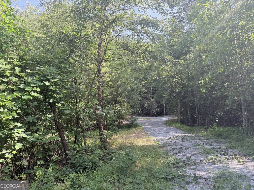 Picture 26