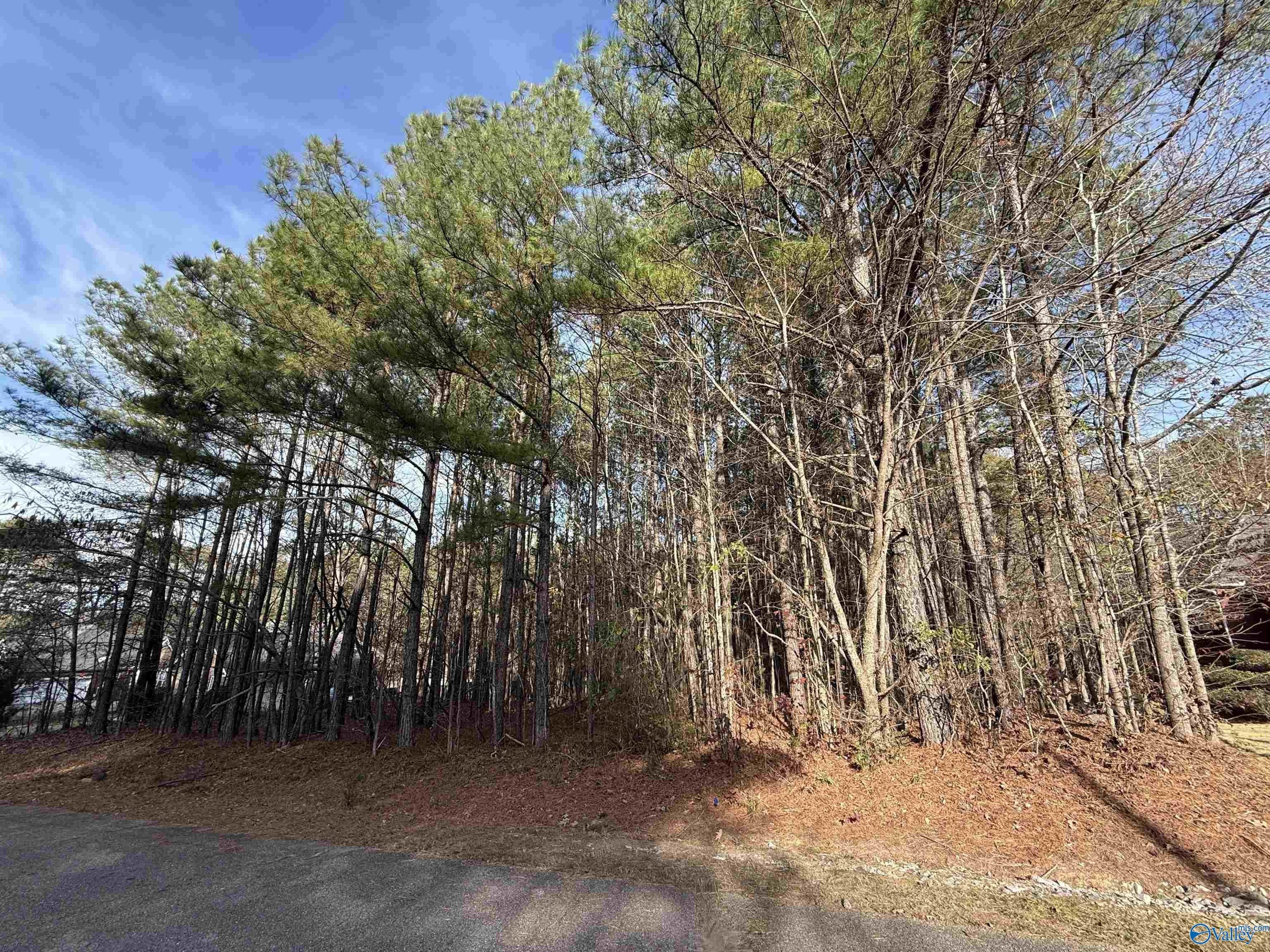 Residential Lot in Sweetwater Plantation