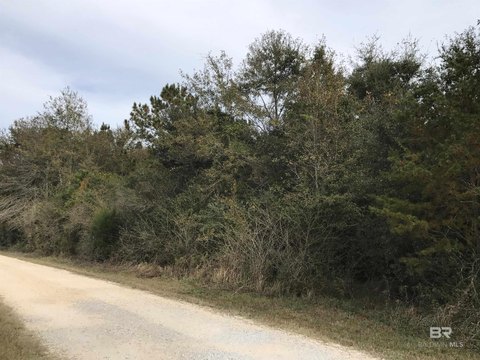 Wooded Waterfront Recreation Land