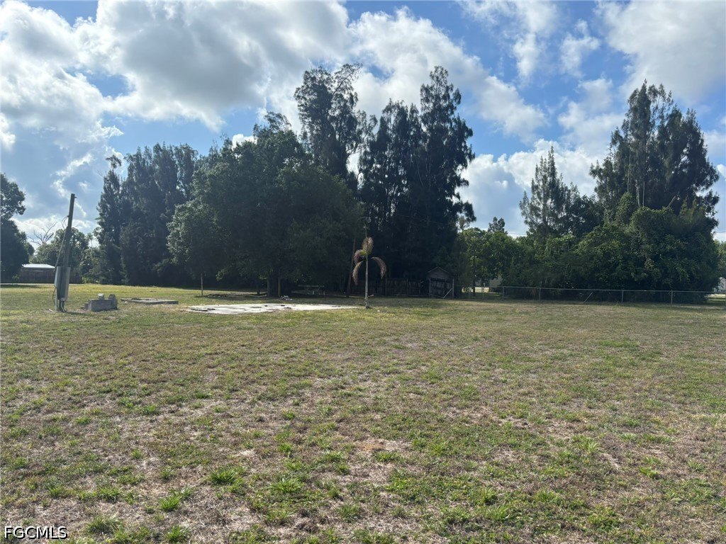 Picture 5