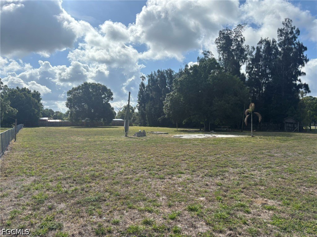 Picture 4