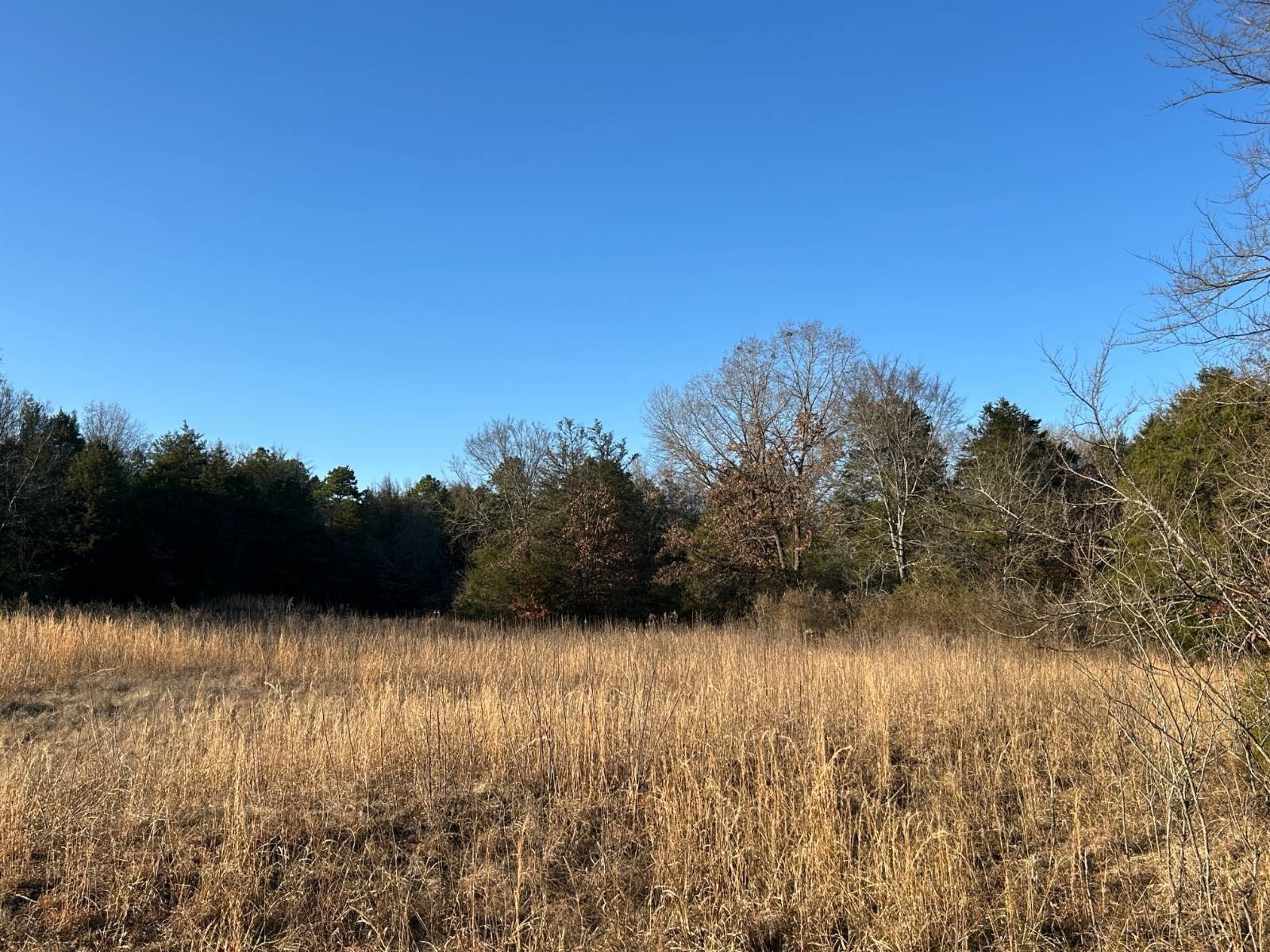 25 Acre Wooded Ozark Land