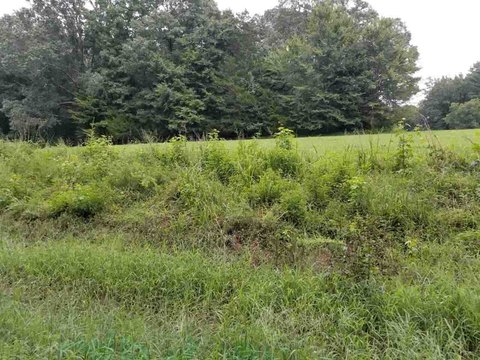 Land For Sale Jackson, TN