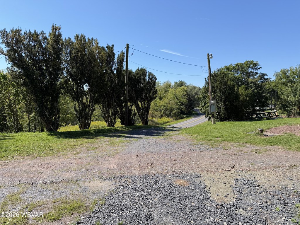 Picture 6