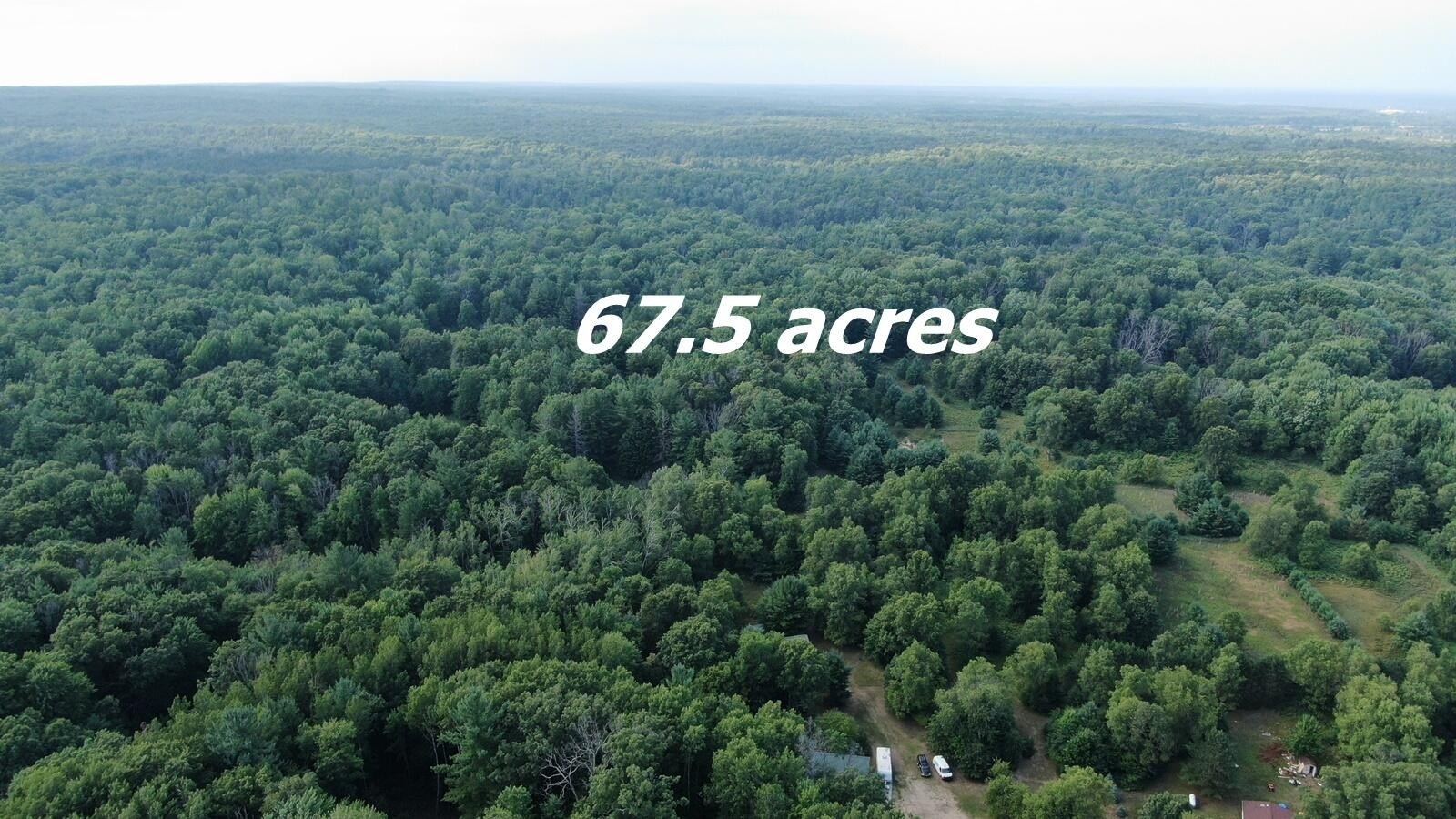 68.8 Acres Hunting and Recreation Land